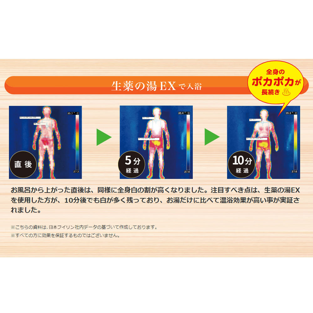 薬用入浴剤 生薬の湯EX ティーバッグ式 30g×10包入 1 個