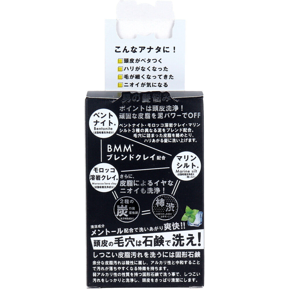 HARIHAIR(ハリヘア) 頭髪用石鹸 大人なクールウッドの香り 100g 1 個