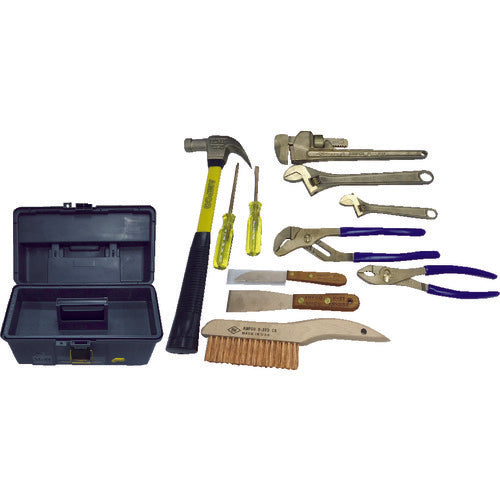 Ampco Explosion-proof 11-piece Tool Set AMCM-48 1 S
