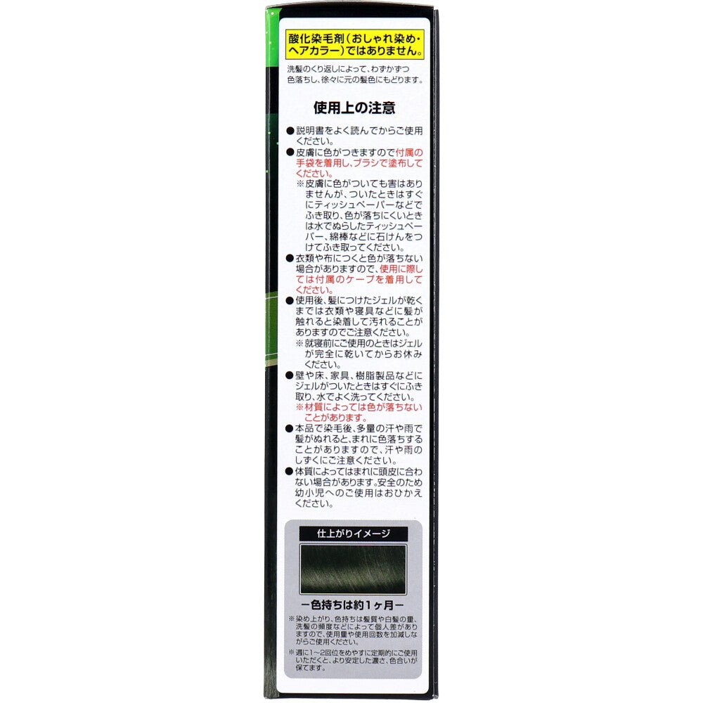 카미크로네EX 내츄럴 블랙 80mL 1개