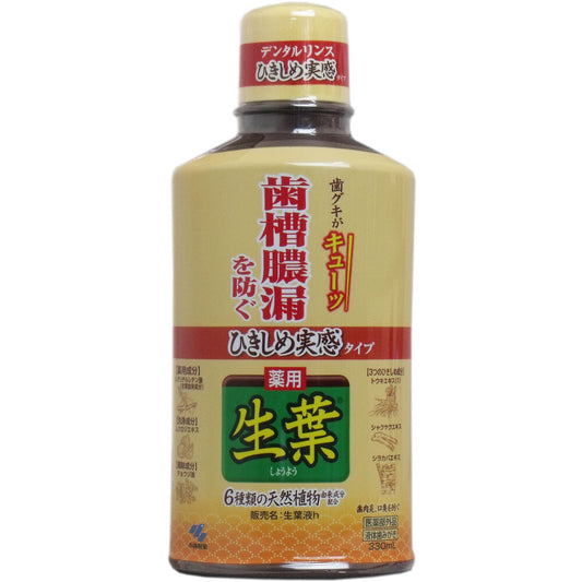 薬用 生葉液 ひきしめ実感タイプ 330mL 1 個