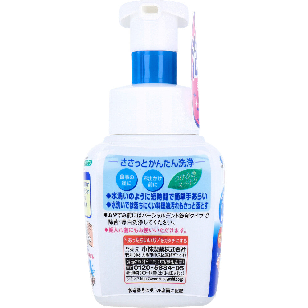 Partialdent Cleaning Foam for Partial Dentures, Mint Scent, 250mL, 1 pc