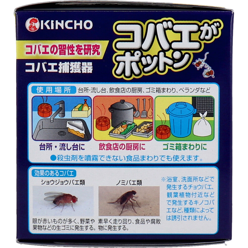 金鳥 コバエがポットン 置き型 3個入 1 個