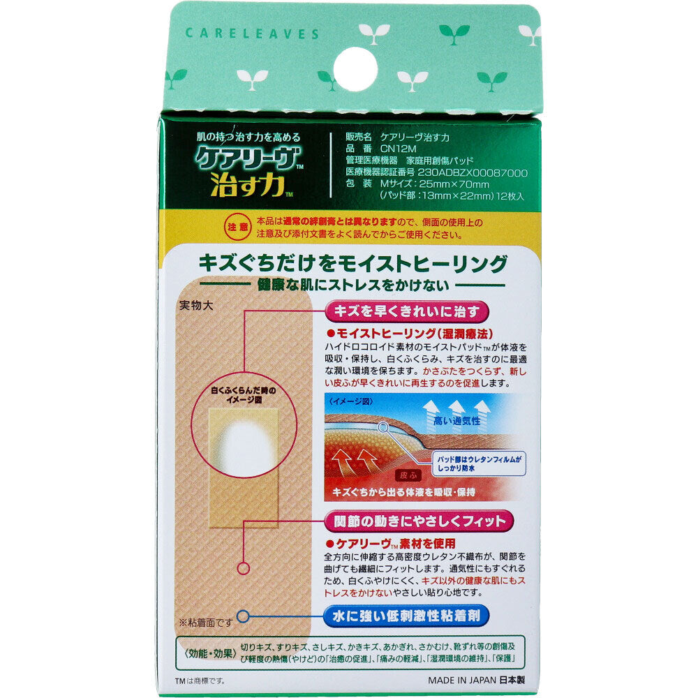 ケアリーヴ 治す力 CN12M Mサイズ 12枚入 1 個