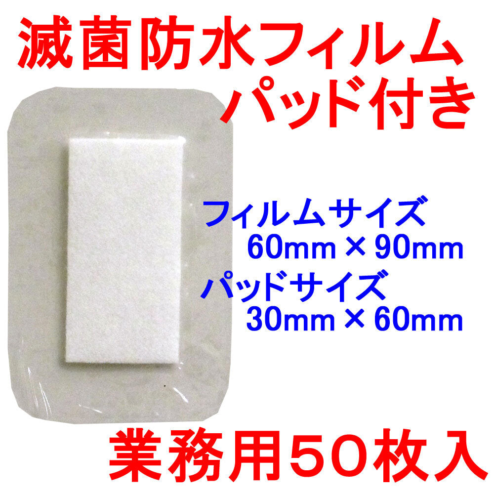 니프로 멸균 방수 필름 패드 부착 서지트 P 60×90mm 업무용 50장입 1개