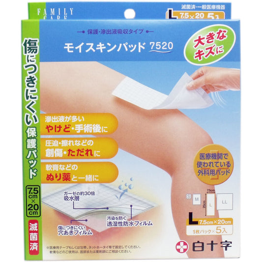 FC 모이스킨 패드 7520 L 사이즈 5장입 1개