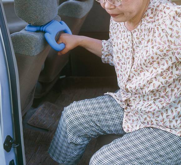 Sanko Safety Handle Gray