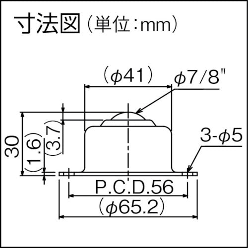 ISB Iguchi Bear IS-19 Steel IS-19 1 piece