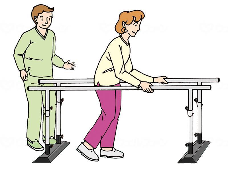 Kawamura Cycle Simple Parallel Bars BP2