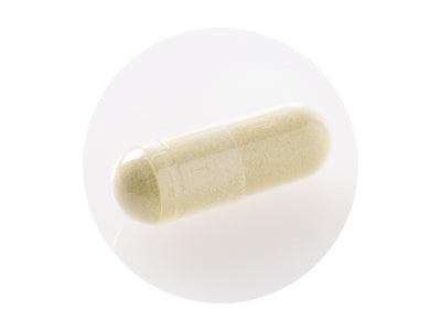 ユーグレナのちから / 342mg×120粒　1