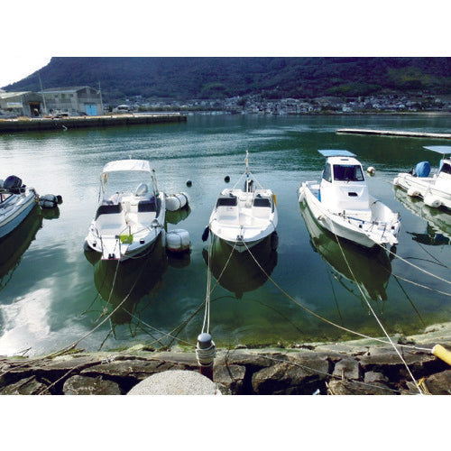 TRUSCO Vinylon Rope, 3-strand, Wire diameter 3mm x length 10m, R-310, 1 roll