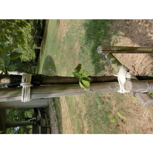 TRUSCO Cotton Rope, 3-strand, Wire diameter 6mm x length 10m, R-610M, 1 roll