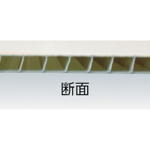 IRIS 544072 폴리카프라단 910X910X4 청동 PCD-994-BZ 1매