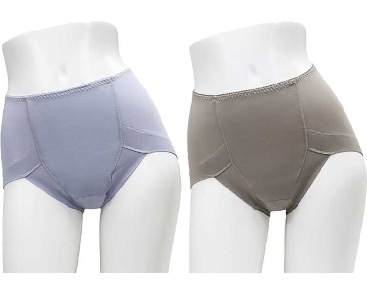 Style Celebrity Water Absorbent Deodorizing Shorts 2-Color Set for Women / TJI-679 L Blue Set (1 each of blue and gray) 1 set