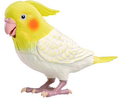 More Talkative Genius Cockatiel 1 piece