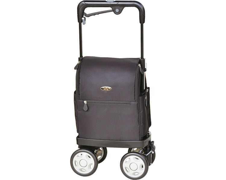 Icart Lab II / No.810 Black 1 unit