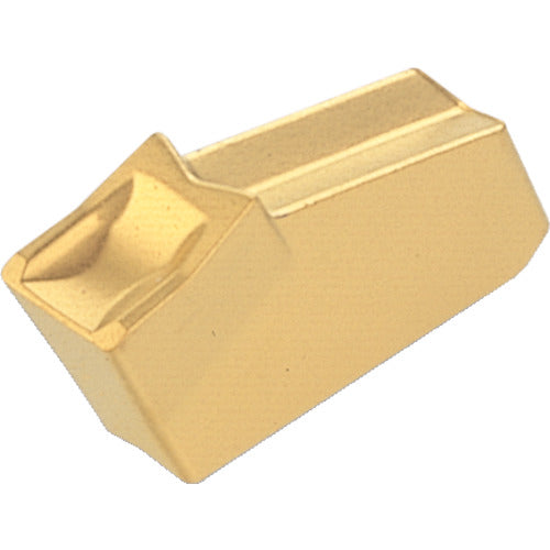 이스컬 셀프 그립 칩 GFN IC328 GFN 8 10 pcs