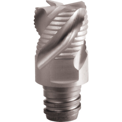 イスカル　マルチマスター加工ヘッド　６枚刃　トライダル７°　逃げ付き　ＩＣ９０８　MM ETR160A09R5.0-6T10　2 個