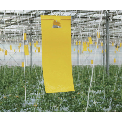 IVY NEW Mushi Bang Bang Yellow 20 pieces/bag IVY112 1 bag