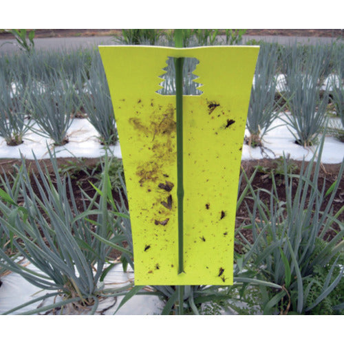 IVY NEW Mushi Bang Bang Yellow 20 pieces/bag IVY112 1 bag