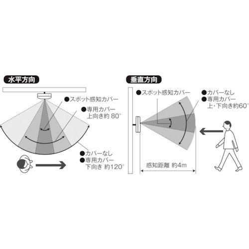 大一産業　おしゃべりＮＡＶＩ３　29030038　1 個