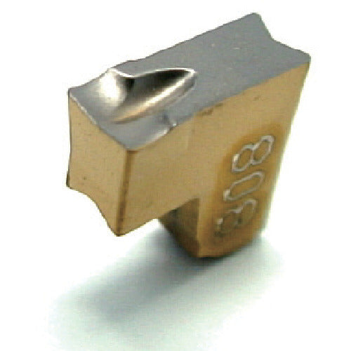 イスカル　タンググリップ　チップ　ＴＡＧ　Ｒ／Ｌ−Ｊ／ＪＳ　ＩＣ９０８　TAG L3J-6D　10 個