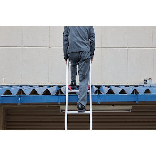 Hasegawa Rakunori 3-section ladder with stabilizer 9.11m LH3-90 1 unit