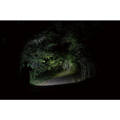 ＧＥＮＴＯＳ　ＬＥＤハンディライト　Ｓｔｅｌｌａ０３３Ｄ　ST-033D　1 本