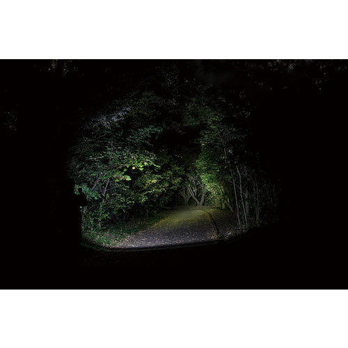 ＧＥＮＴＯＳ　ＬＥＤハンディライト　Ｓｔｅｌｌａ０３２Ｄ　ST-032D　1 本