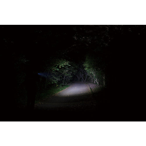 GENTOS 충전식 LED 핸디라이트 섬 2307 FLP-2307 1개