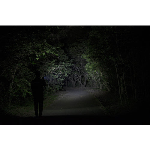 ＧＥＮＴＯＳ　ＬＥＤハンディライト閃　ＦＬＰ−２３０６　FLP-2306　1 本