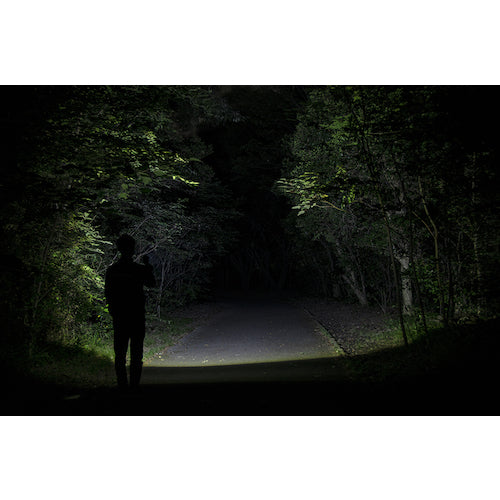 ＧＥＮＴＯＳ　ＬＥＤハンディライト閃　ＦＬＰ−２３０６　FLP-2306　1 本