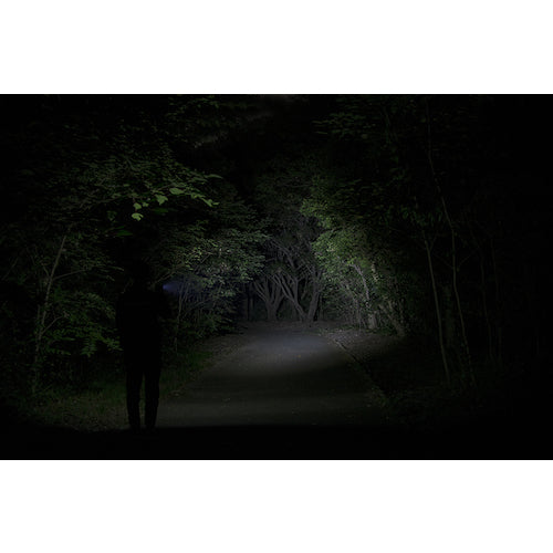 ＧＥＮＴＯＳ　ＬＥＤハンディライト閃　ＦＬＰ−２３０５　FLP-2305　1 本