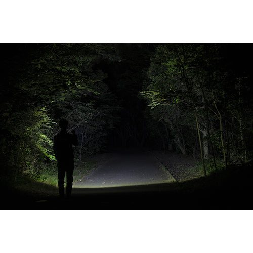 ＧＥＮＴＯＳ　ＬＥＤハンディライト閃　ＦＬＰ−２３０５　FLP-2305　1 本