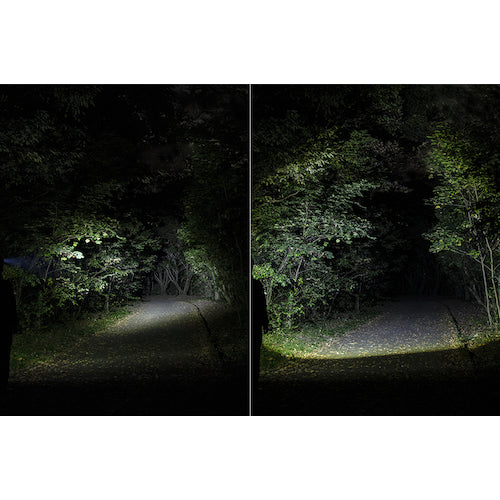 GENTOS LED Headlight AXRAY 243HD AR-243HD 1 unit