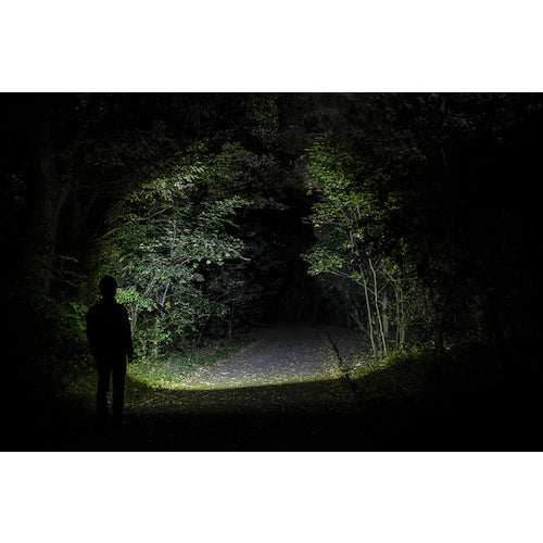 GENTOS LED Headlight AXRAY 243HD AR-243HD 1 unit