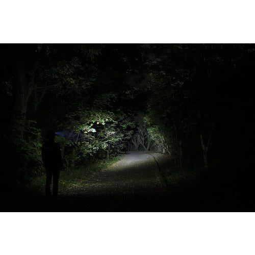 GENTOS LED Headlight AXRAY 243HD AR-243HD 1 unit