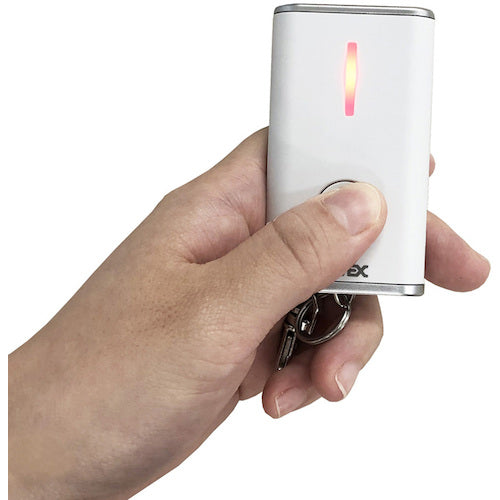 リーベックス　増設用　キーホルダー押しボタン送信機　ＸＰ１０Ｋ　XP10K　1 個