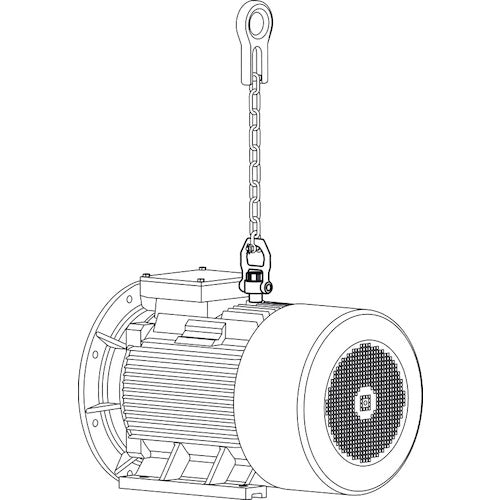 HALDER Threaded clamp lifting pins, swivel type, heat-treated steel 22353.0008 1 piece