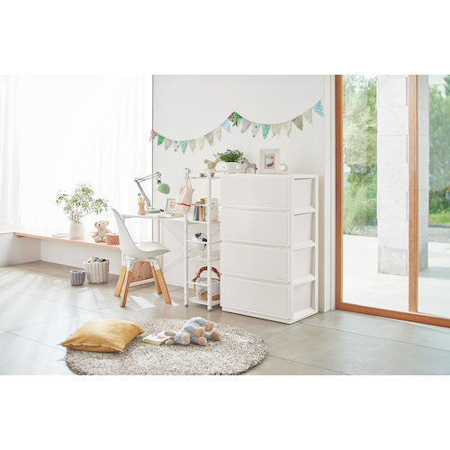 ＴＥＮＭＡ　ＰＲＸスタイルケース組立式　６５０４深型Ｗ　110013911　1 個