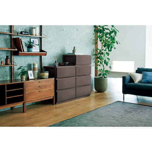 ＴＥＮＭＡ　ＰＲＸスタイルケース組立式　６５０３深型ＢＲ　110013910　1 個