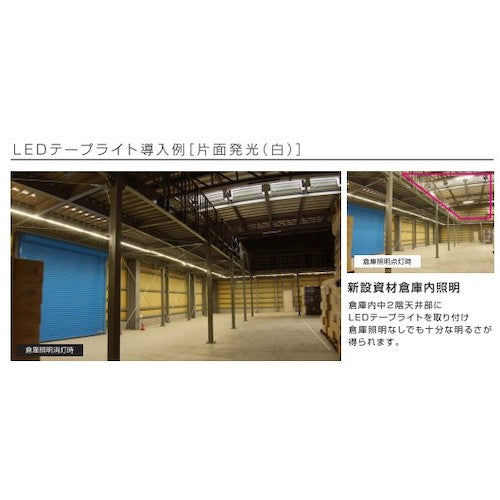 ハタヤ　ＬＥＤテープライト片面発光タイプ（２．５ｍ単体）　LTP-025　1 本