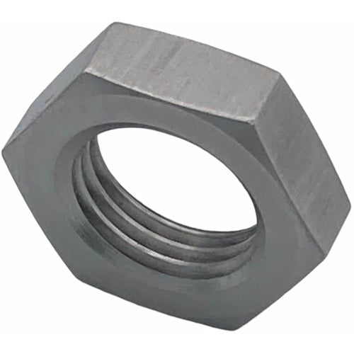 Lactem Small Hexagon Nut SUS304 Fine Thread M10 Thin HNCS10 1 pc