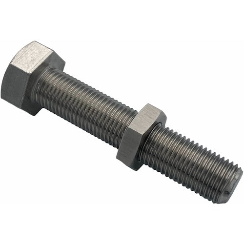 Lactem Small Hexagon Nut SUS304 Fine Thread M12 Thin HNCS12 1 pc