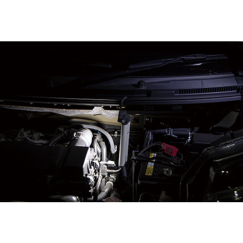 GENTOS 충전식 LED 항균 가공 워크라이트 Ganz AG123 GZ-AG123 1개