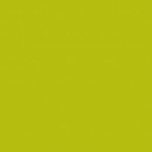 페베오 데코 스프레이 200ml 매트색 피스타치오 093822 1개