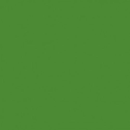 ペベオ　デコスプレー２００ｍｌ　マット色　ブライトグリーン　093821　1 本