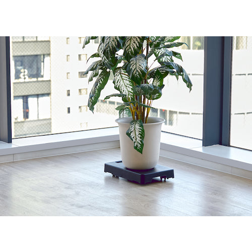 ＴＲＵＳＣＯ　軽量平台車　インテリアキャリー　ブラック　LC-4026BK　1 台