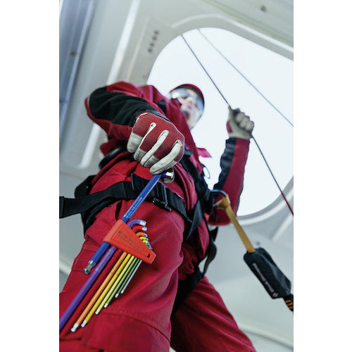 PB Swiss Tools 410H/6-25RB L-shaped hex lobe wrench set of 8 (Rainbow) (no pack) 410H6-25RB 1 S