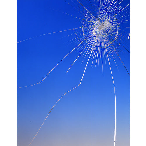 リンテックコマース　飛散防止フィルム　Ｌサイズ　HGS-05L　1 個